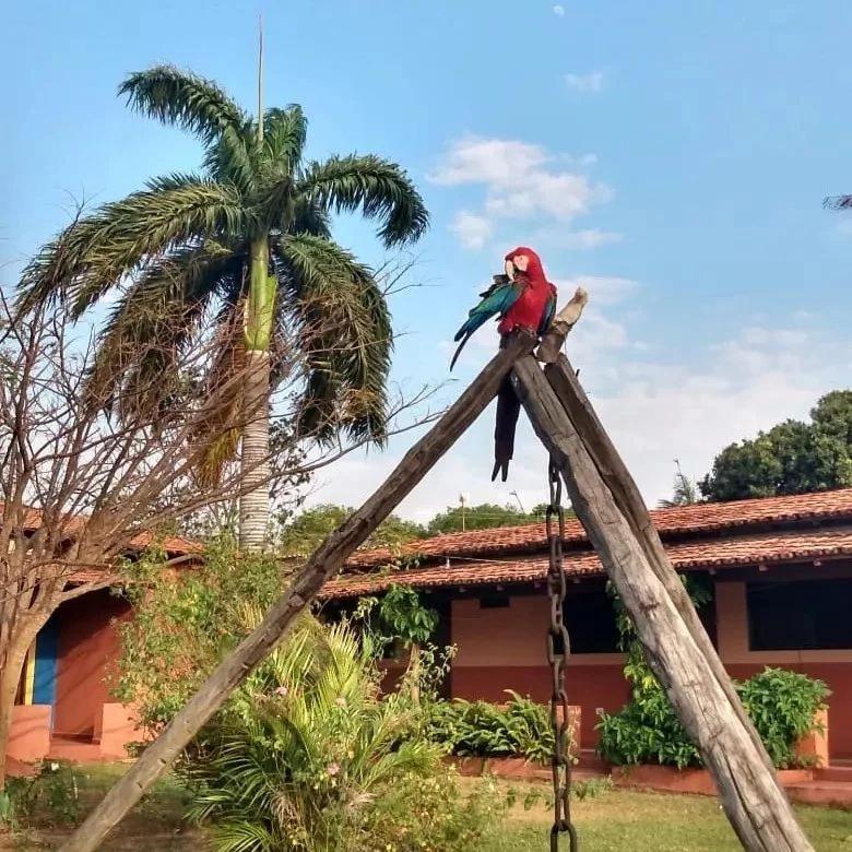 Pousada Estacao Lunar - Terra Ronca Sao Domingos de Goias Εξωτερικό φωτογραφία